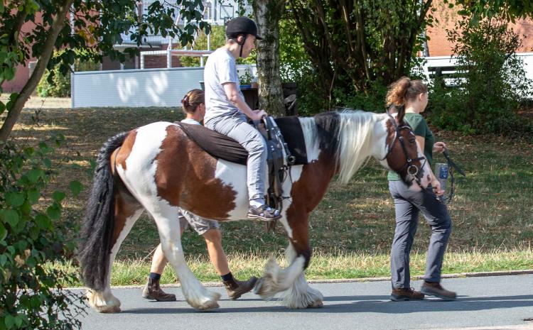Reittherapie